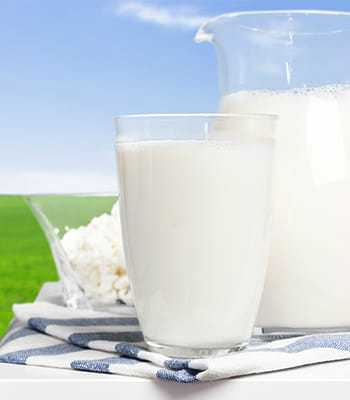 Dairy Products
